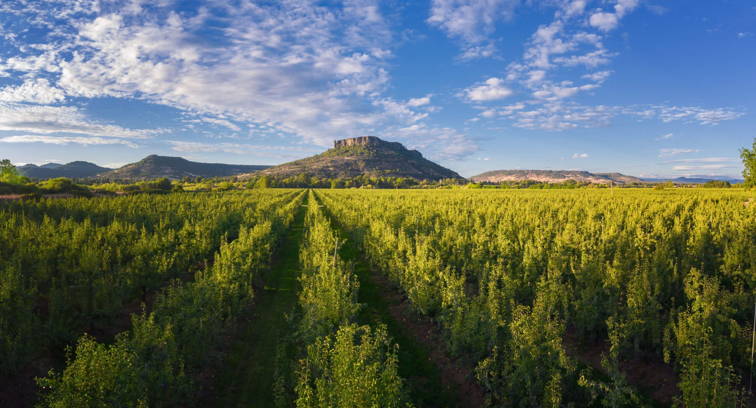 Explore the hiking trails at Table Rock near Eagle Point, Oregon.