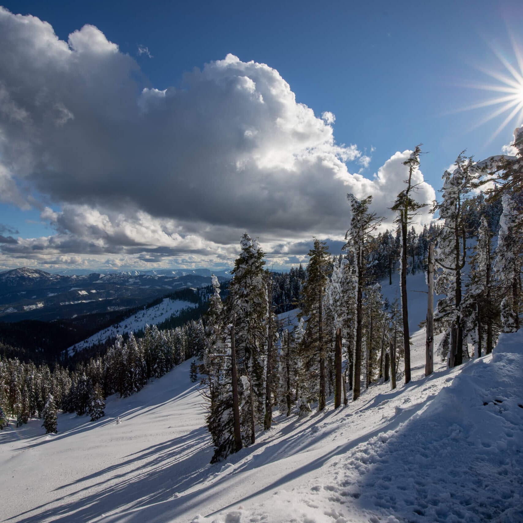 A view from beautiful Mt. Ashland in the heart of Southern Oregon.